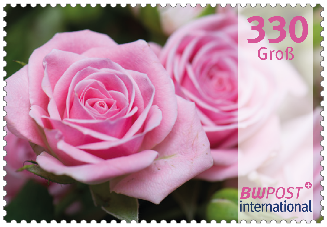 einzelmarke_330_flowers-international-2025_2024-12-17