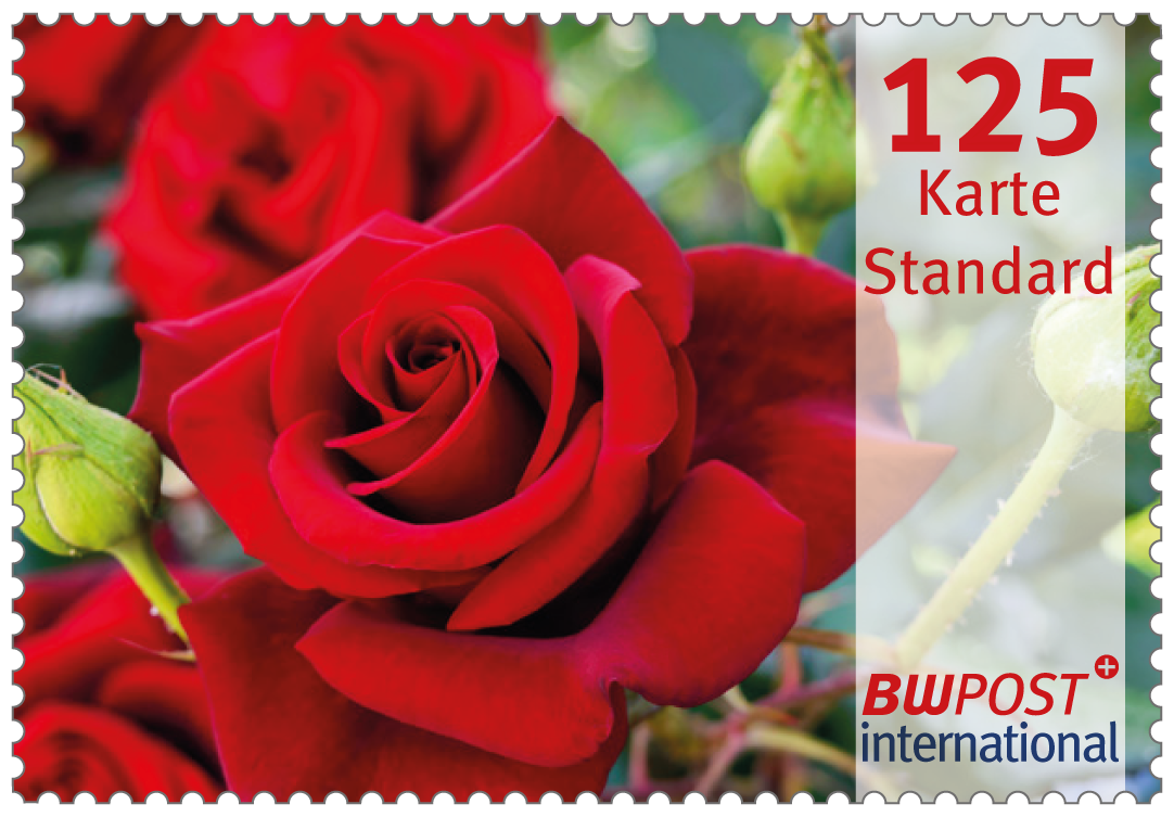 einzelmarke_125_flowers-international-2025_2024-12-17