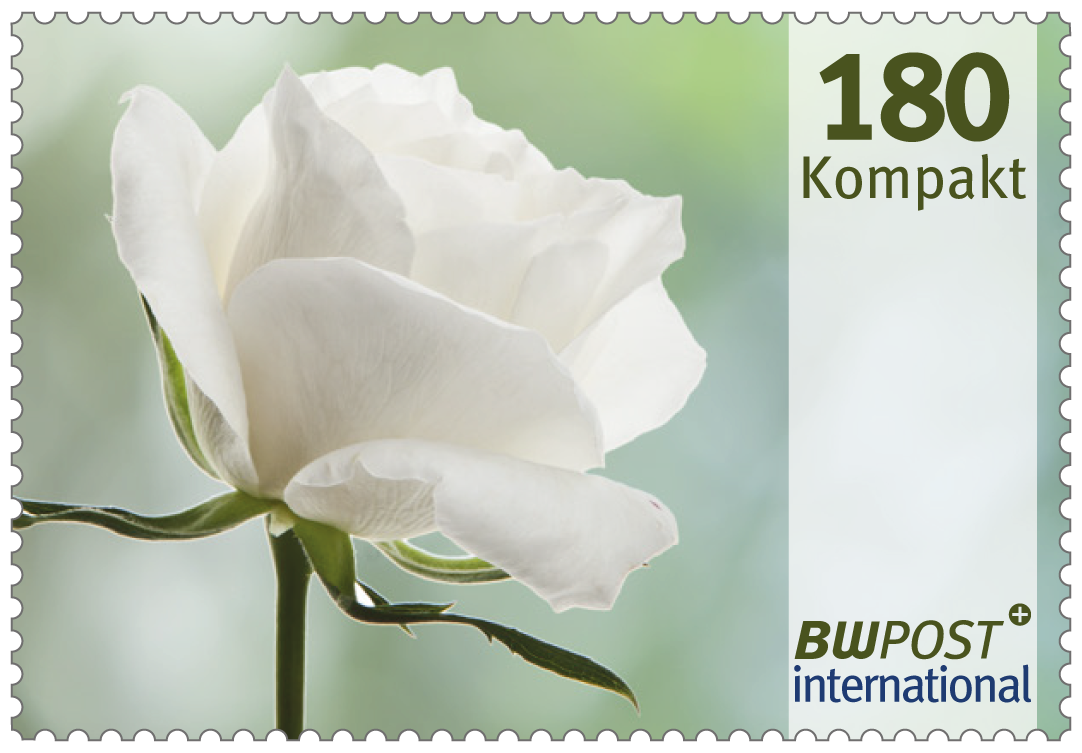 einzelmarke_180_flowers-international-2025_2024-12-17