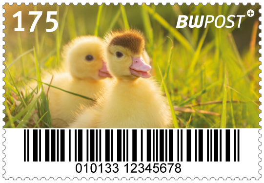 175_einzelmarke_ente_20260310